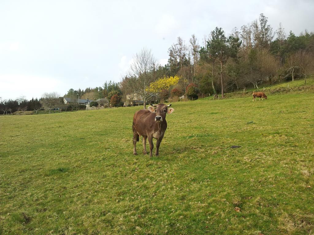 Casa Rural Grana Da Acea Monfero Kültér fotó